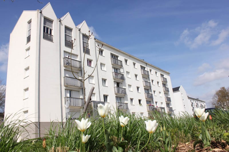 Appartement T4 en location à Canteleu proche des jardins potagers - Image 1