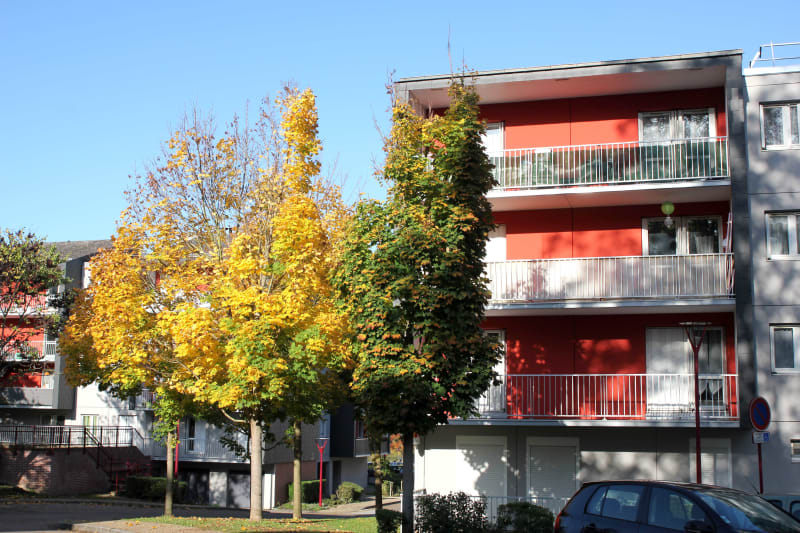 Appartement à louer F2 à Elbeuf proche de la Seine - Image 3